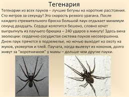 Image result for pokoutnik st job 