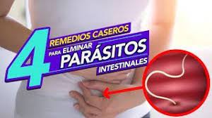 Remedios Naturales Para Eliminar Parasitos Intestinales Youtube
