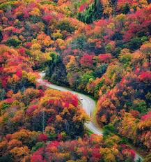 مجلة ناشيونال جيوغرافيك العربية on twitter autumn landscape autumn scenery fall pictures