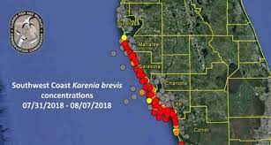 To see detailed information on this week's samples, view the current statewide google earth map … How To Check For Red Tide Before Going To The Beach