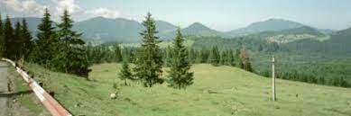 Wij zijn gewoon twee karakters die bij elkaar passen. Het Apekot Vuile Mong En De Vieze Gasten 1974 Het Apekot Vuile Mong Vieze Gasten Dc Staelens