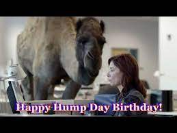 Day is a federal holiday in the united states marking the birthday of martin luther king jr. Hump Day Birthday Youtube
