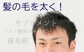 日本人は亜鉛不足？ 毎日どれくらい摂取すべき？ 亜鉛が不足すると髪や身体にどんな影響が出るの？ 亜鉛が含まれる食べ物は？ サプリも効果的？ 亜鉛の役割とは？ 亜鉛は、髪の主成分であるケラチンの生成において重要な役割を果たしていることがわかっています。 é«ªã®æ¯›ã‚'å¤ªãã™ã‚‹ ã‚·ãƒ£ãƒ³ãƒ—ãƒ¼ã¨ã‚µãƒ—ãƒªã¨è‚²æ¯›å‰¤ã®çŸ¥è­˜ ãƒ¡ãƒ³ã‚ºé«ªåž‹log