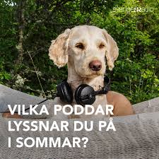 P1 är talat innehåll om samhälle, kultur och vetenskap. Sveriges Radio Startseite Facebook