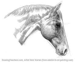 Pin On Drawing