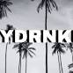 The Ries Brothers w/ DAYDRNKRZ