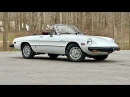 Image result for Gray 1980 Alfa-Romeo