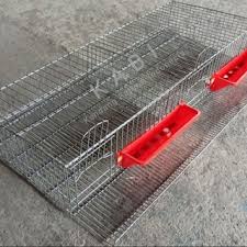 We did not find results for: Kandang Burung Puyuh Petelur Ukuran 120x25x22x18cm Dilengkapi Dengan Tempat Pakan Shopee Indonesia