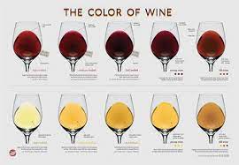 Wine Infographie Infographics Bon Vin Vin Vin Et Fromage