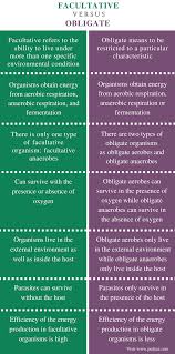 Difference Between Facultative And Obligate Definition Types Of Respiration Types Of Organisms Similarities And Differences