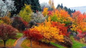 Красивая Музыка Для Души (осень) !!! - YouTube