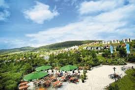 Urlaub Im Center Parcs Mein Personlicher Erfahrungsbericht