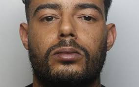 Video shows hero police dog sniff out Aylesbury thug under car