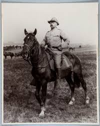 Each world has more than 20 groups with 5 puzzles each. T R The Rough Rider Hero Of The Spanish American War Theodore Roosevelt Birthplace National Historic Site U S National Park Service