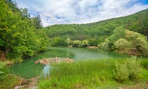 Deoarece are mai multe locuri care au ceva unic al lor, incearca sa explorezi judetul in cautarea acestora. Lacul Vida Din Comuna Dobresti JudeÅ£ul Bihor Locuridinromania Ro