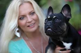 I am a hobby breeder from near st. Choco Blue French Bulldog Kennel Posts Facebook