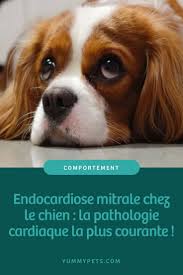 Epingle Sur Coockies