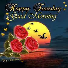 Pin On Tuesday Blessings
