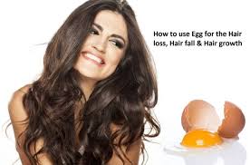 Whisk together oil and egg whites. Hair Fall Control With Egg How Egg Useful In Hair Loss Control