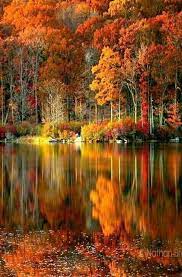 The Rich Colors Of Autumn Autumn Scenery Autumn Scenes Scenery