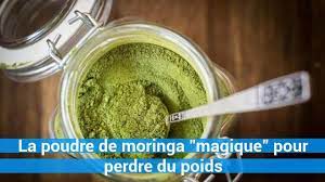 Les vertus extraordinaires du moringa. Comment Utiliser Le Moringa Pour Maigrir Actualites Tech Monde Et Tourisme