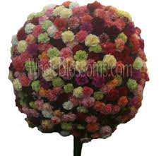 My arrangements suffered for the lack of those 30 carnations, and the 120 i did receive had rather small heads. Carnation Carnation Flower White Carnations Red Carnation Wedding Flowers