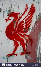 Liverpool football club is a professional football club in liverpool, england, that competes in the premier league, the top tier of english football. Leber Vogel Liverpool Fc Symbol Stockfotografie Alamy