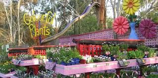 Check spelling or type a new query. Plant Nursery Bulleen Art Garden