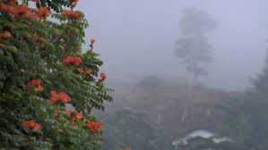 4,6°c em31 maio florianópolis: 8,9°c em 25 maio curitiba: 3,2°c em 25 maio campo grande: 10,5°c em 24 maio cuiabá: 14,5°c em 7 maio goiânia: 13,7°c em 19 maio brasília: 12,4°c em 12 maio porto velho: 18,0°c em 8 maio rio branco: 16,4°c em 8 maio Z5y5vlwfawignm