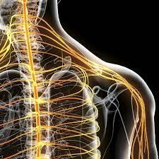 Wer wechselt jetz von #liebesgschichten zu #orfsg20 ? Nerven Sinne Technik Medecon Ruhr