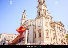 Rosa stephens hi-res stock photography and images