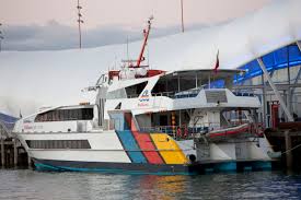 Fence partly blocks neighbour's gate in Devonport boundary dispute