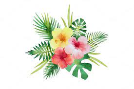 Hawaiian tropical flowers coupon code. Tropical Flowers And Leaves Watercolor Flowers Tropical Flowers Flowers And Leaves