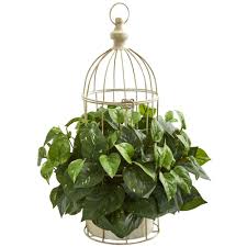 Nearly Natural 19in Pothos Artificial Plant In Decorative Bird Cage Bird Cage Decor Artificial Foliage Artificial Plants