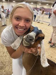 Grand champion jr lamancha. Careys Sage Dorothy