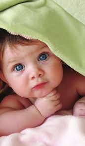 Dr. Jane Goodall To Speak At The Winter park institute At Rollins College  Fourth Annual Winter park paint Out This Spring