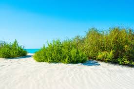 This island has a landscape of softly rolling hills spread across 115 acres that are surrounded by a total of two miles of white sandy beaches. The Best Public Beaches In Abu Dhabi Uae Conde Nast Traveller Middle East
