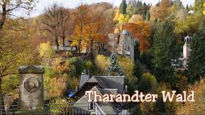 Tharandter Wald Uber Die Burgruine Den Forstbotanischen Garten Und Den Mauerhammer Youtube
