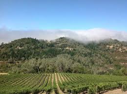 Review by dave 1 comment. O Shaughnessy Estate Winery Angwin Aktuelle 2021 Lohnt Es Sich Mit Fotos