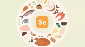 Image result for Selenium