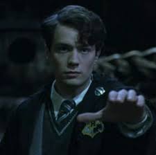 Being the only child of lord voldemort, she was able to speak parseltongue, and she became the only known living heir of salazar slytherin after the demise of her father. What Does Tom Riddle Think Of You Quiz