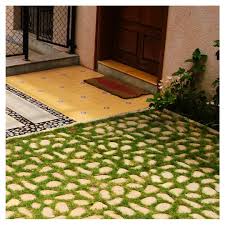 Image result for Basananthe pedata