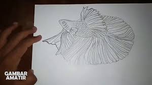 Nah lalu bagaimana cara mengawinkan ikan cupang? Menggambar Ikan Cupang Hias Entah Jenis Apa Youtube