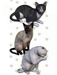 Millennium Cat 3d Model Cats Big Cats Animals