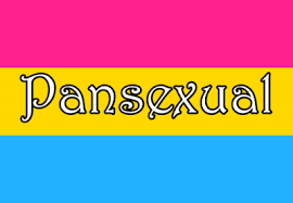 Esto quiere decir que un sujeto pansexual puede. O Que E Pansexual Versos Improprios Por Dielly Guimaraes Facebook