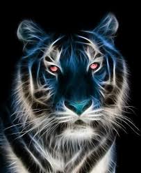  10 Ide Harimau Harimau Harimau Putih Kucing Besar