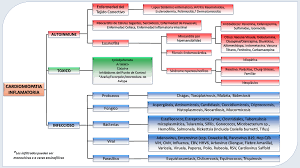 Complicación cardíaca difícil de definir desde el comienzo de la pandemia, son muchos los abordajes que se intentan descubrir de la nueva enfermedad y uno de ellos está. Http Scc Org Co Wp Content Uploads 2020 03 Pad 140 V1 Miocarditis Fulminante Pdf