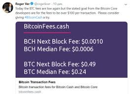 Your bitcoin cash and bitcoin now exists on two different sets of blockchains. Bitcoin Cash Bch Price Prediction 2020 2030 Stormgain