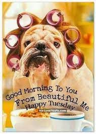Maybe you would like to learn more about one of these? Good Morning To You From Beautiful Me Happy Tuesday Good Morning Quotes Morning Quotes Funny Funny Good Morning Quotes