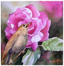 Hilmi Simsek Watercolour Painting Gallery Rose Nigtingale Wren Saka Bird Sparrow S Wildlife Artists Wildlife Art Animal Art